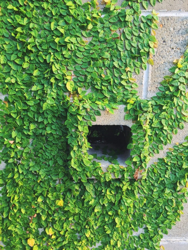 tumblr_nmetpnYAJJ1rnczwao1_1280