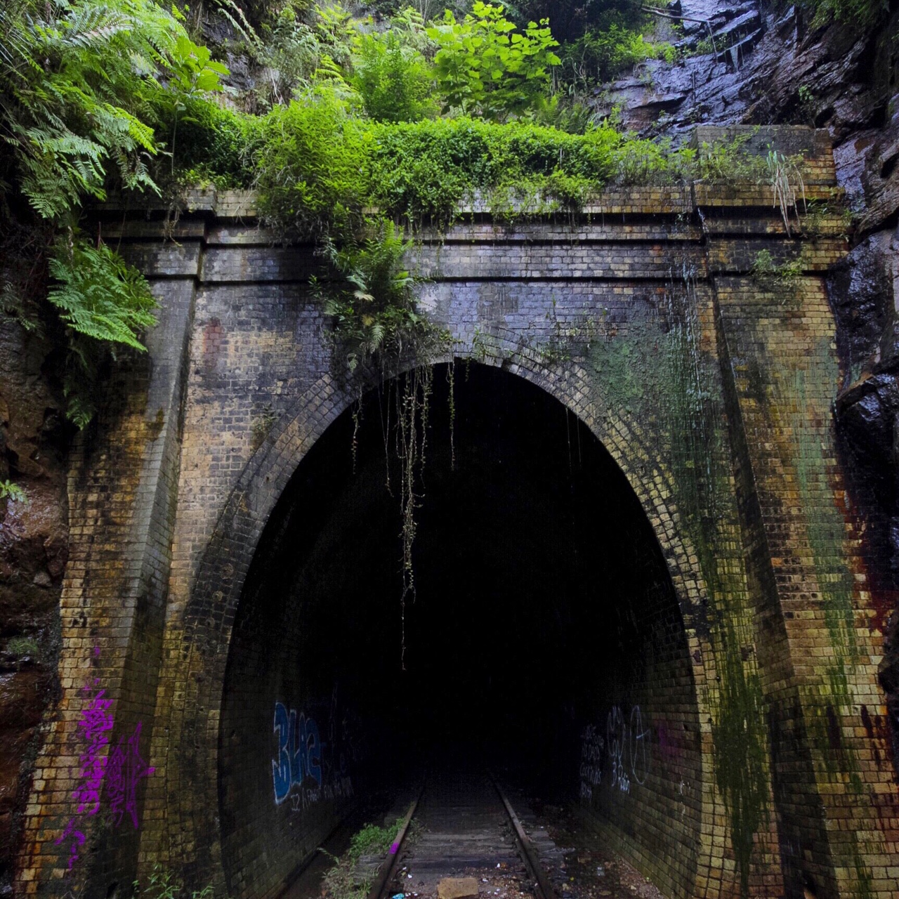 tumblr_nmetrnSiwk1rnczwao1_1280