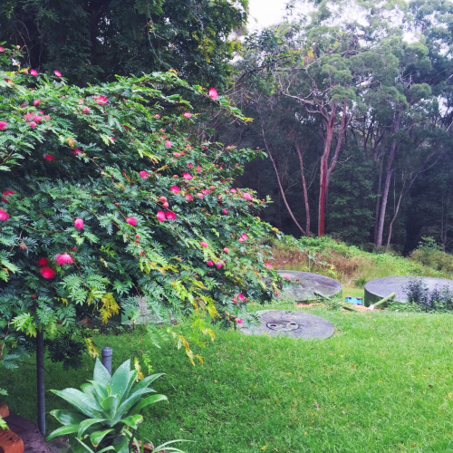 tumblr_nmetynas8e1rnczwao1_500