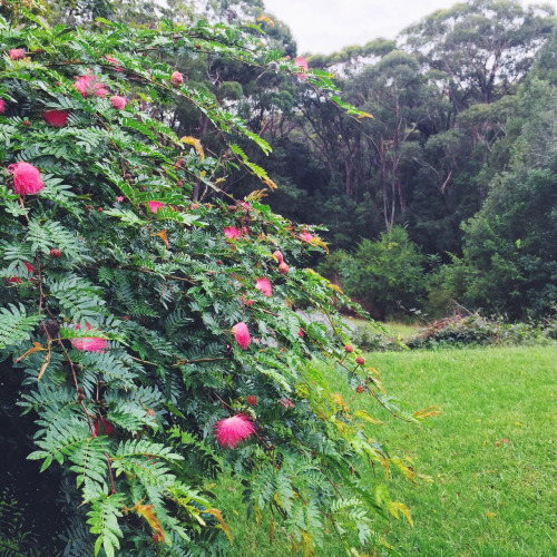 tumblr_nmetynas8e1rnczwao2_500