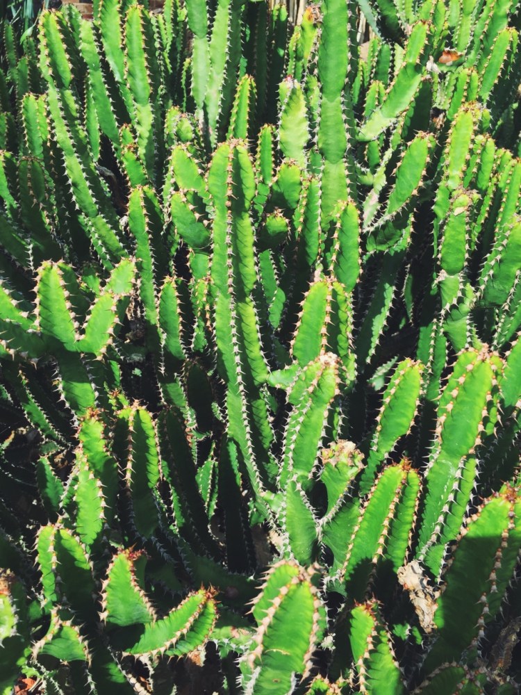 tumblr_nmetywDp8P1rnczwao1_1280