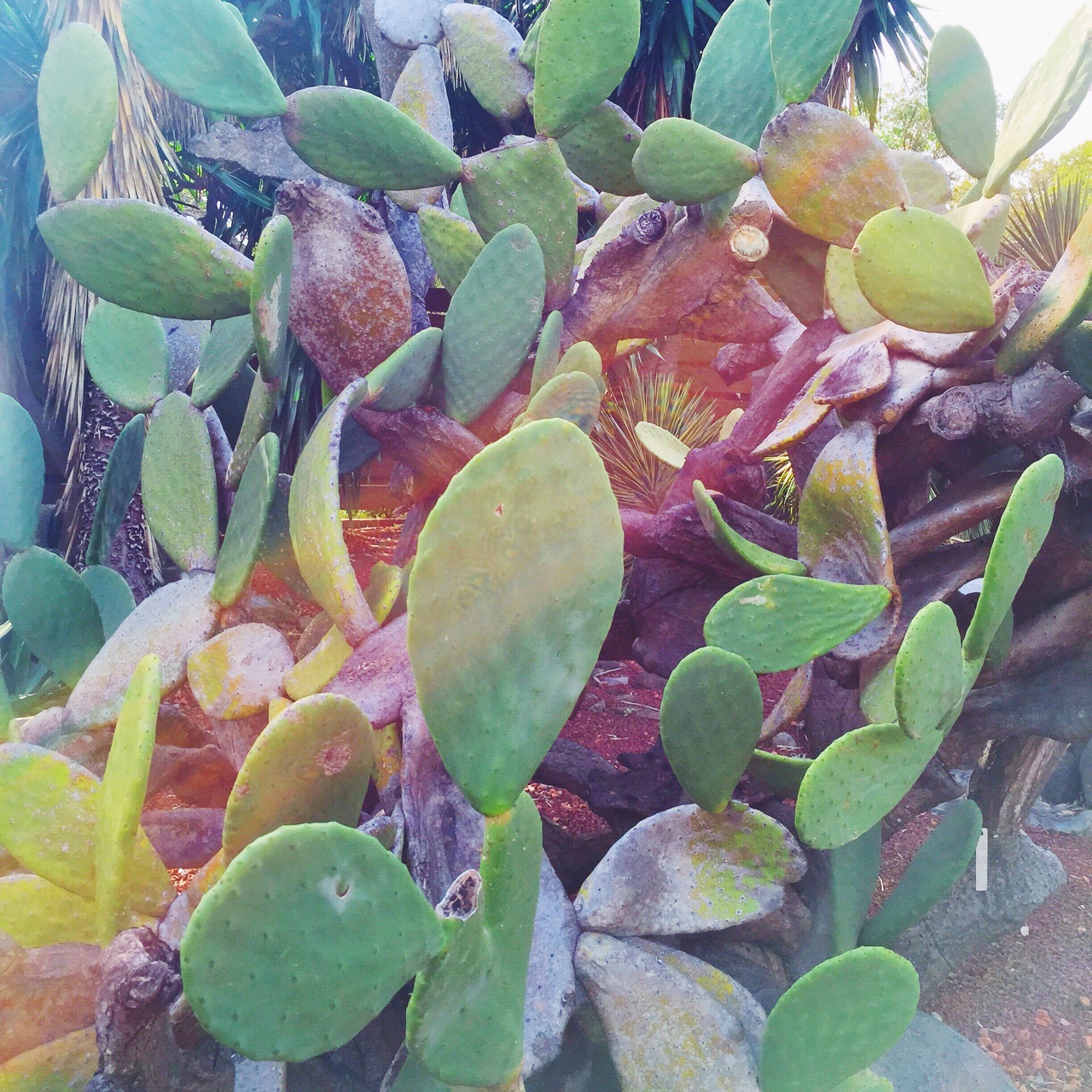 tumblr_nmeu44ienN1rnczwao1_1280