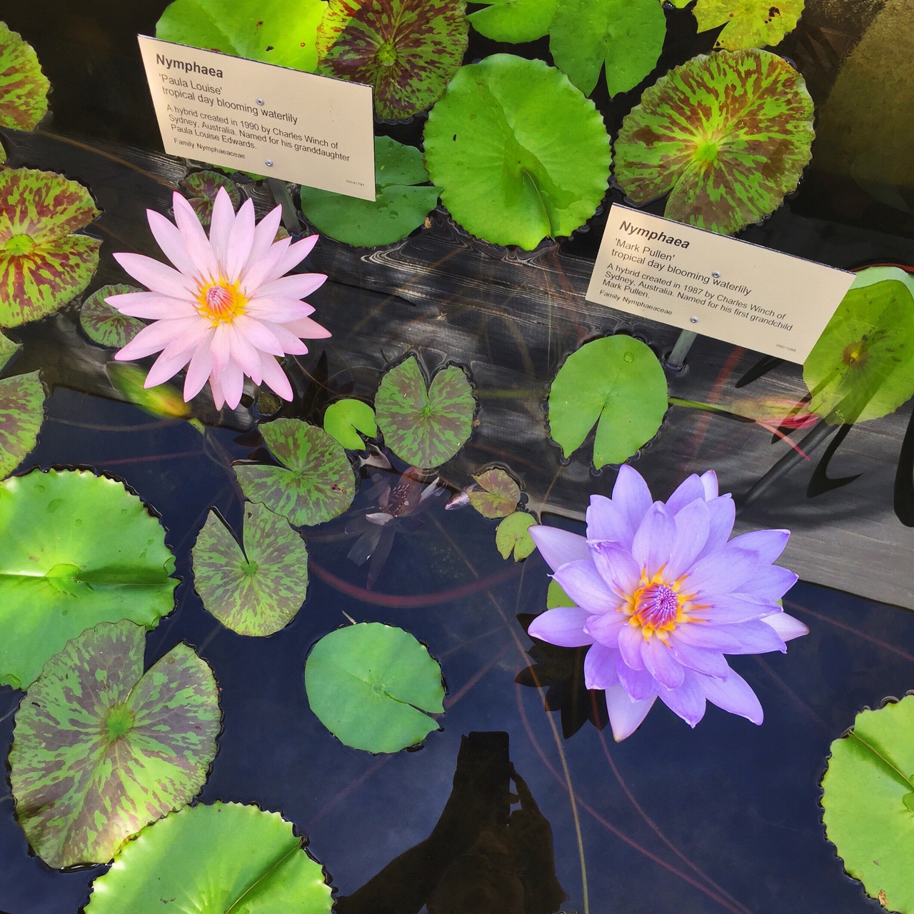 tumblr_nmeu51JHRa1rnczwao1_1280