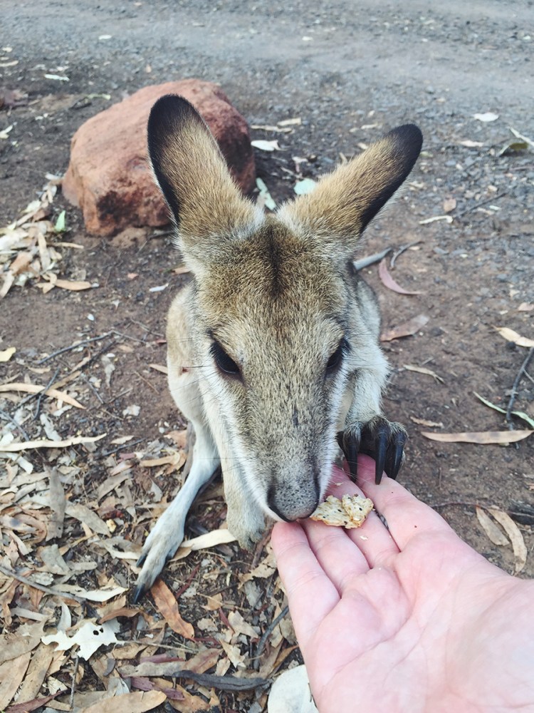 Processed with VSCOcam with f2 preset