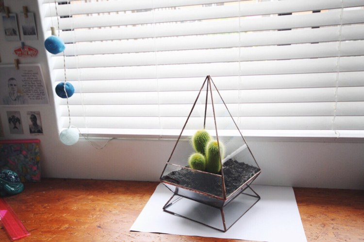 Processed with VSCOcam with f2 preset