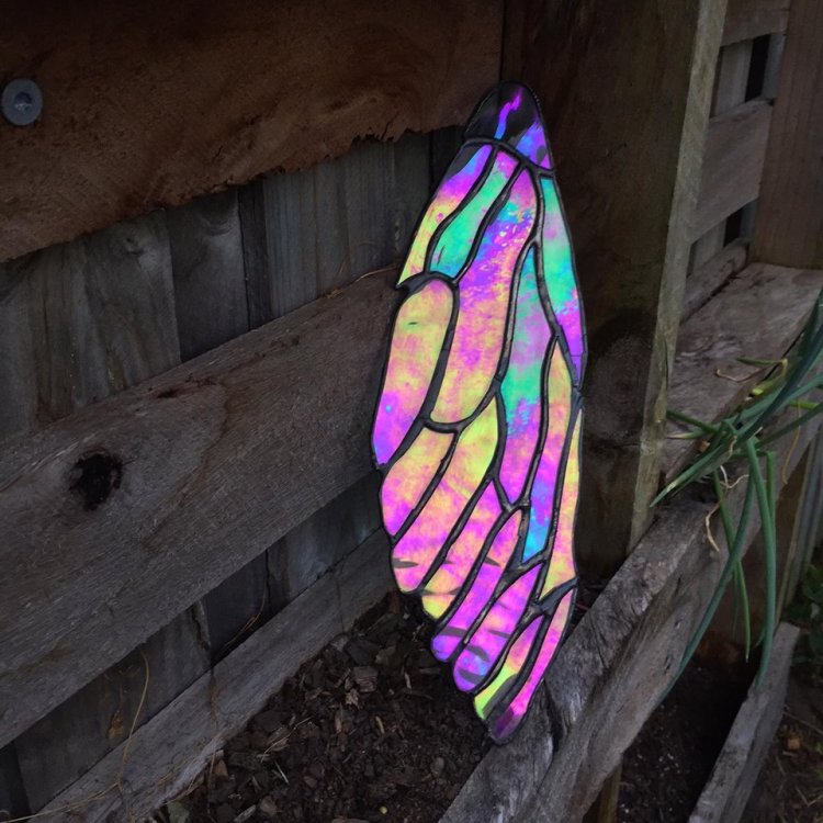 15940408_10154118346066440_8154668250168058688_n